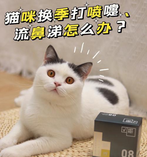 如何判断你的猫咪是否生病？（以一直打喷嚏的猫咪为例，解读病症和疾病预防措施）