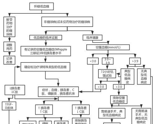 中国冠毛母犬低血糖症的防治