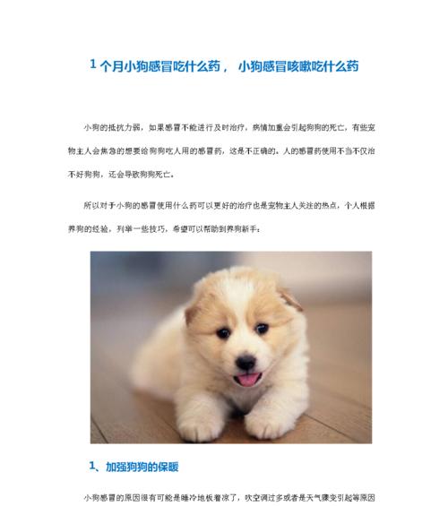 揭秘阿富汗犬身上的臭味（探寻臭味的来源及预防方法）