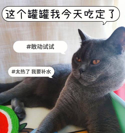 猫咪不愿意喝水，是不是生病了？（探究猫咪不爱喝水的原因和解决方法）