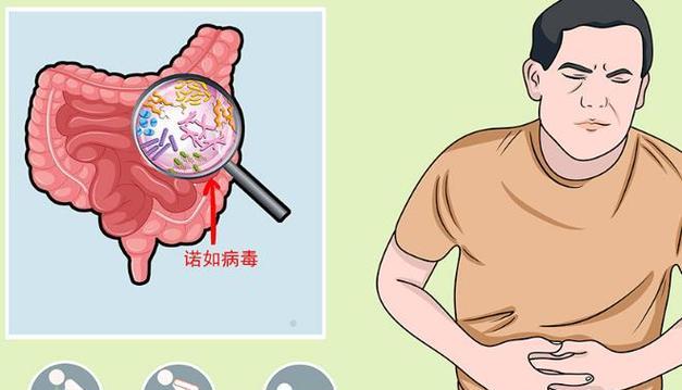 杜高犬肠胃炎的症状与治疗（了解如何帮助宠物克服消化问题）