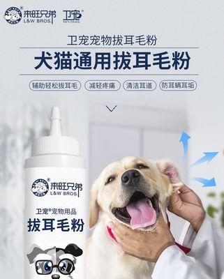 以贵宾犬拔耳毛疼痛的原因和解决方法（注意避免犬只疼痛，正确拔除耳毛是关键）