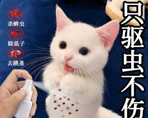 猫咪驱虫指南——关于第一次体外驱虫的重要性（如何保障猫咪健康——第一次体外驱虫的必要性）