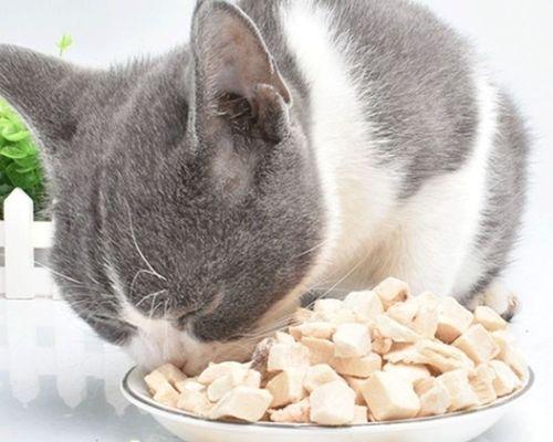 宠物猫能否食用火腿肠？（火腿肠中的成分是否适合猫类？）