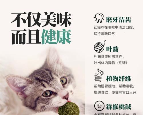 以木天蓼对猫咪的猫薄荷效应（探讨宠物猫咪的身体反应和行为变化）