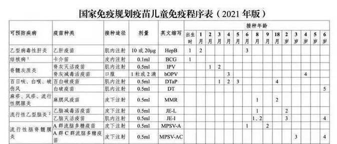 牛头梗宝宝的免疫程序详解（以宠物为主，打造健康快乐的生活）