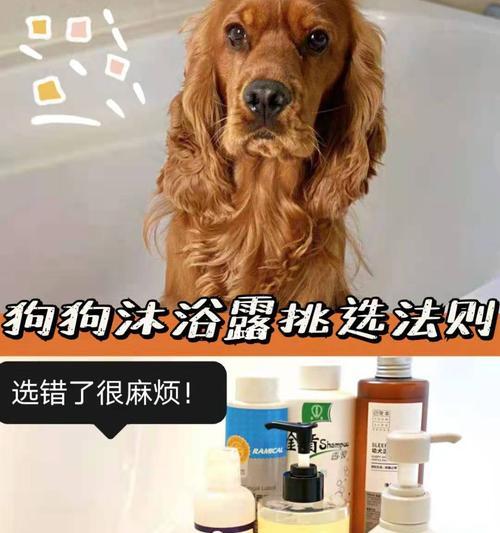 解决宠物小狗狗臭味问题的最佳沐浴露（针对不同犬种选择适合的沐浴露）