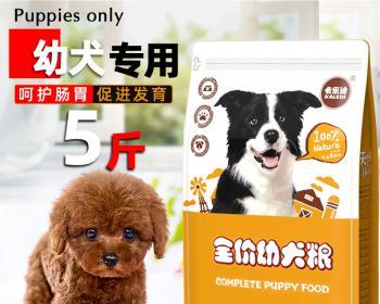 如何科学喂养4个月的泰迪犬？（一次吃多少狗粮？）