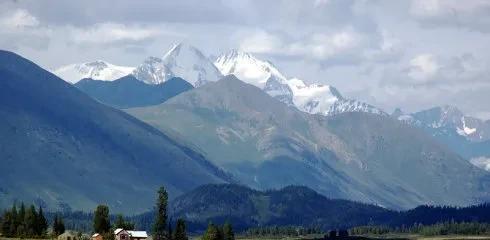 恩特雷布赫山地犬的养殖指南（了解如何正确照顾您的恩特雷布赫山地犬）