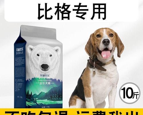 如何为你的比格犬补充足够的钙质？