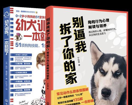 宠物犬训练技巧（如何培养听从、乖巧的宠物犬）