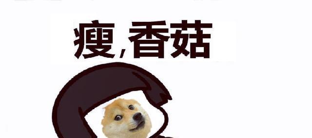 格力犬增肥攻略（以宠物为主，让你的犬犬健康增重）