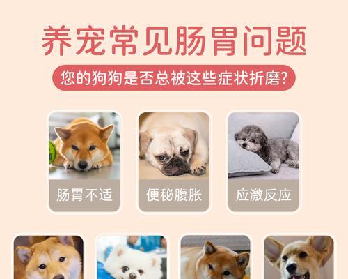 狗狗便秘了怎么办？教你轻松解决狗狗便秘问题（宠物爱护必知！15个方法帮助你解决狗狗便秘问题）