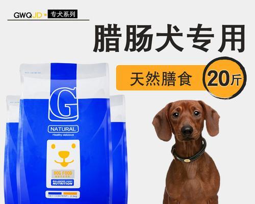 腊肠犬的挑食问题解决方法（以宠物为主，让腊肠犬健康饮食）