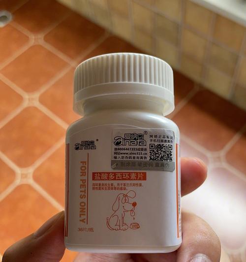 解决狗狗干咳难题——药物治疗（掌握正确的用药方法，宠物健康无忧）