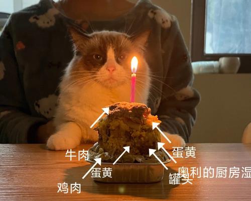 小猫能否吃蛋糕？（宠物饮食的注意事项、适合猫咪的健康饮食）