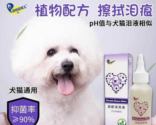 比熊犬泪痕问题解决方法（为您的宠物减轻泪痕烦恼）