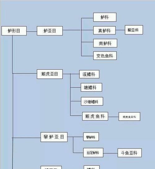 如何正确饲养宠物——戴氏多鳍鱼（解密戴氏多鳍鱼的养殖技巧，让你的宠物健康快乐成长）