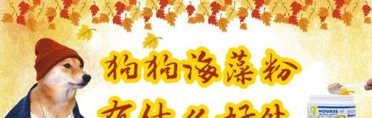 宠物狗狗的福音——海藻粉的多重好处（为什么越来越多的主人选择给狗狗吃海藻粉？）