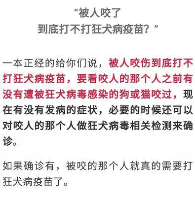 探究京巴狗喜欢咬人的原因（以宠物为主，了解京巴狗的行为习惯）