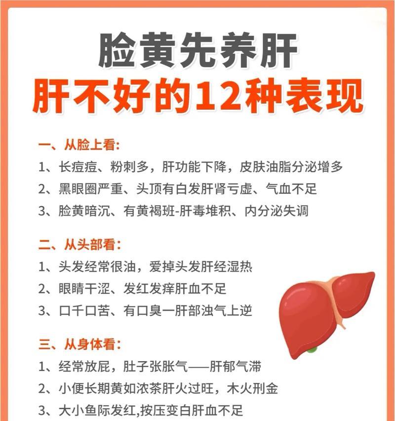 雪纳瑞能吃鸡肝吗？（宠物食谱调整与鸡肝的健康功效）