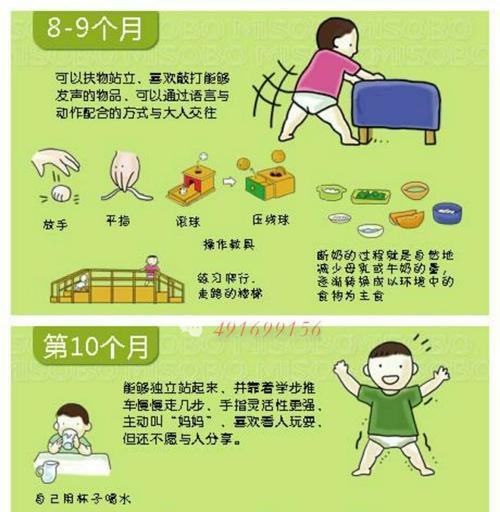 如何在哺乳期养护凯利蓝梗宠物（养护要点、饮食安排、健康检查和环境卫生）