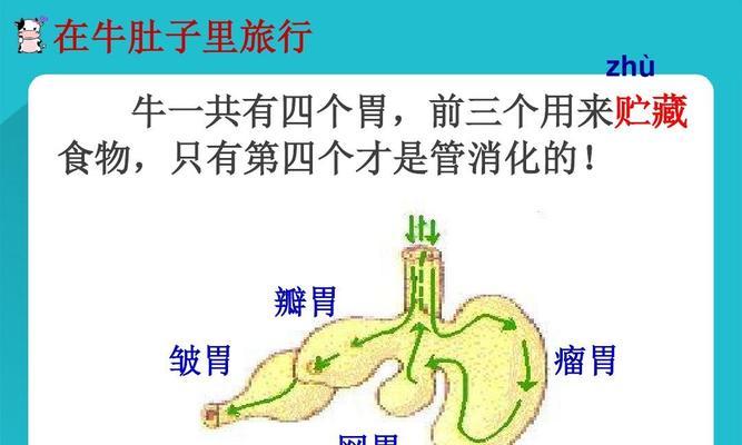 为什么牛头梗会有口臭？（从宠物保健、疾病、饮食等方面探究牛头梗口臭原因）