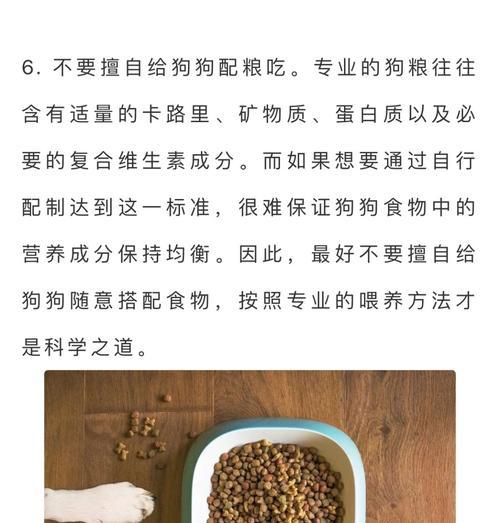 狗宝宝三个月时的科学膳食标准（养宠必看）