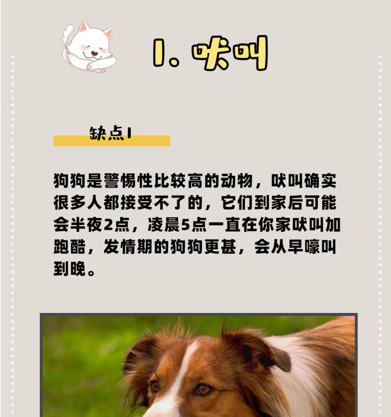 如何养一只不凶的比特犬（以宠物为主，让你的比特犬变得温顺可爱）