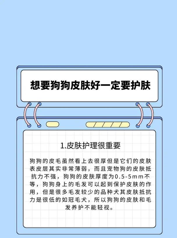 拯救泰迪毛发不蓬松的小妙招（15个小技巧助你让泰迪毛发更健康）