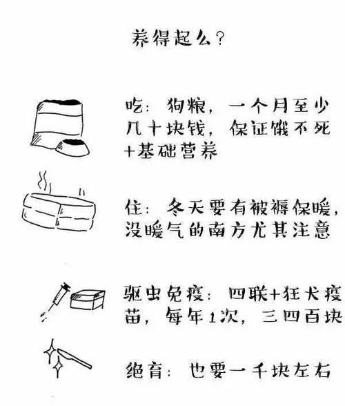 比格猎犬的饲养方法（如何为你的比格猎犬提供最佳护理？）