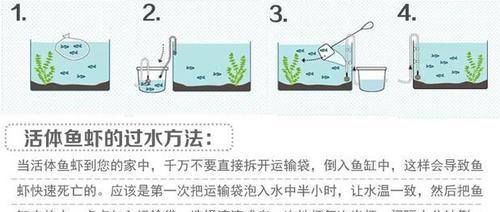 猪鼻龟的饲养方法（做好猪鼻龟的饲养，让它健康成长）