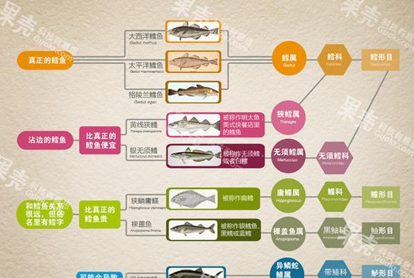 潜水艇鱼的养殖全攻略（如何科学养护潜水艇鱼，让它健康成长）