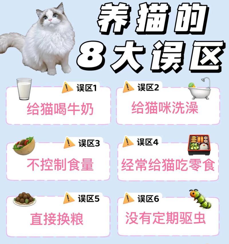 短尾仓鼠的饲养方法（如何打造一个舒适的家园）