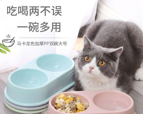 让喵星人用餐更方便——猫咪餐具连在一起（一体化设计，让喵星人的饮食变得更加便捷与卫生）