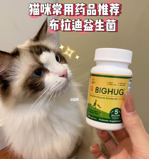 宝宝的益生菌，能给猫咪吃吗？（用宝宝的益生菌为猫咪补充益生菌，安全可行吗？）