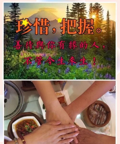 五鳍相逢的饲养方法（打造健康快乐的宠物生活）