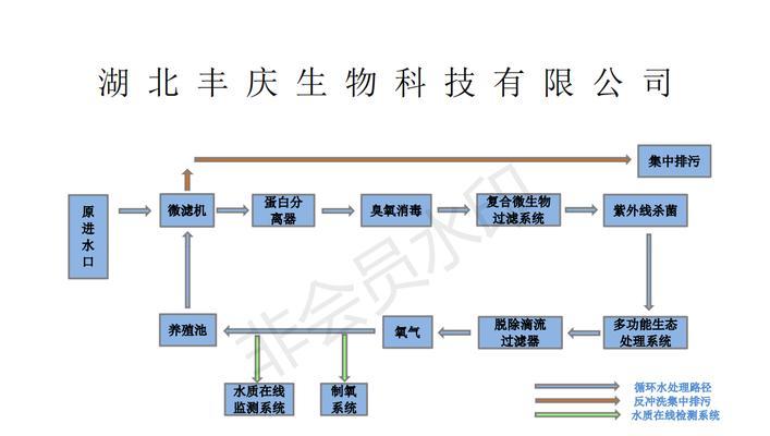 齐兴肉兔的养殖技术（科学养殖，高效收益）