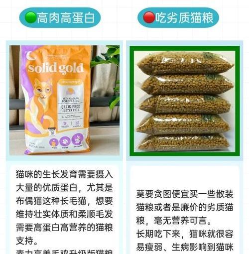 布偶猫的饲养方法（了解你的布偶猫，让它快乐生活）