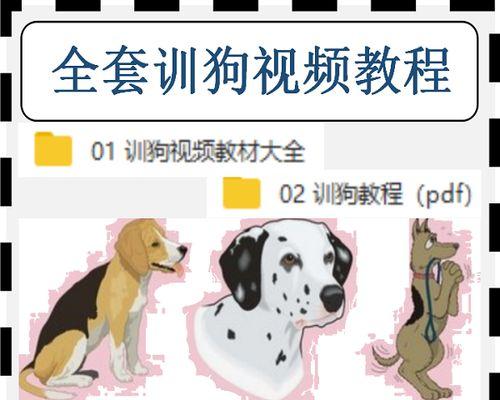 金毛犬饲养全指南（打造最健康、快乐的金毛宠物生活）