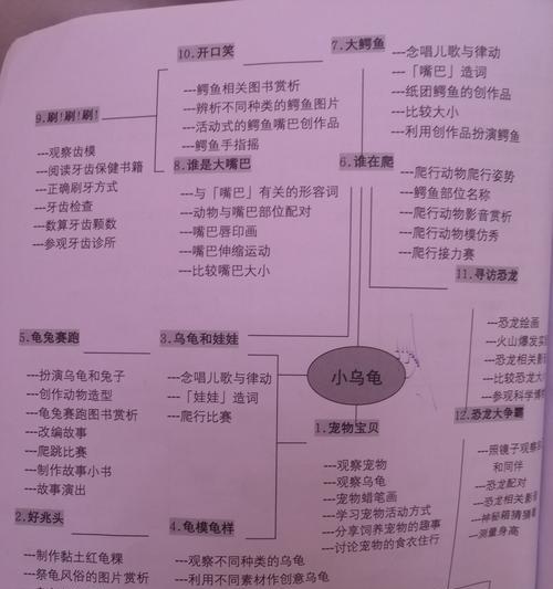 荷叶陆龟的饲养全攻略（以荷叶陆龟为宠物，你需要知道的一切）