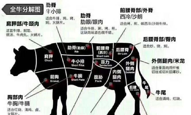 齐兴肉兔饲养方法详解（做好育肥与管理，助力齐兴兔业发展）