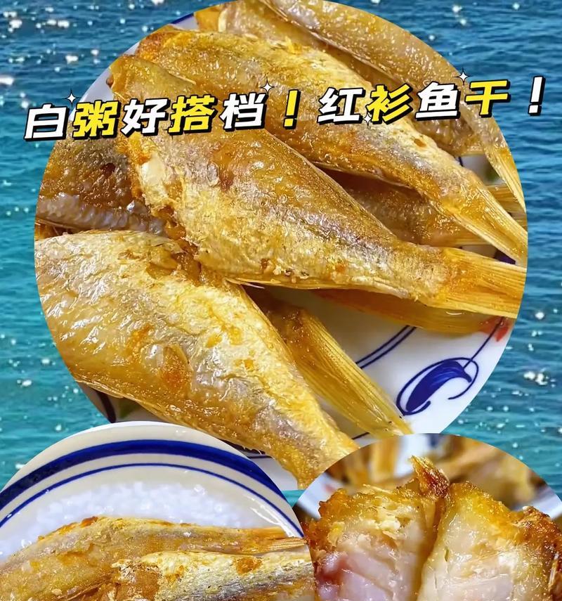 白云山鱼的饲养方法（宠物爱好者必看！如何正确饲养白云山鱼）