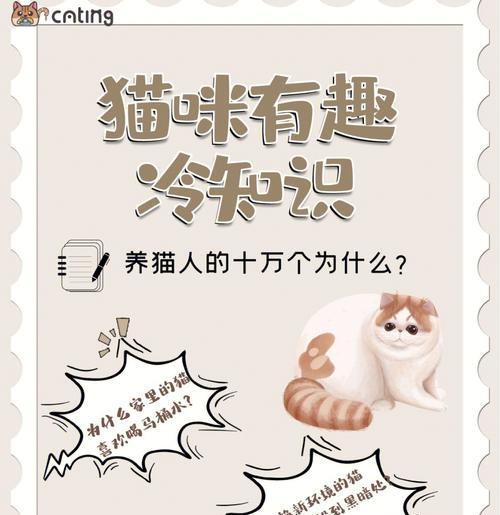 孕妇是否可以养猫？（解析孕妇养猫的争议和注意事项）