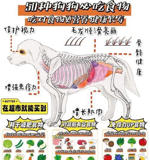 警惕！这9种食物对狗狗的身体有很大危害（了解这些食物，守护你的毛孩健康）