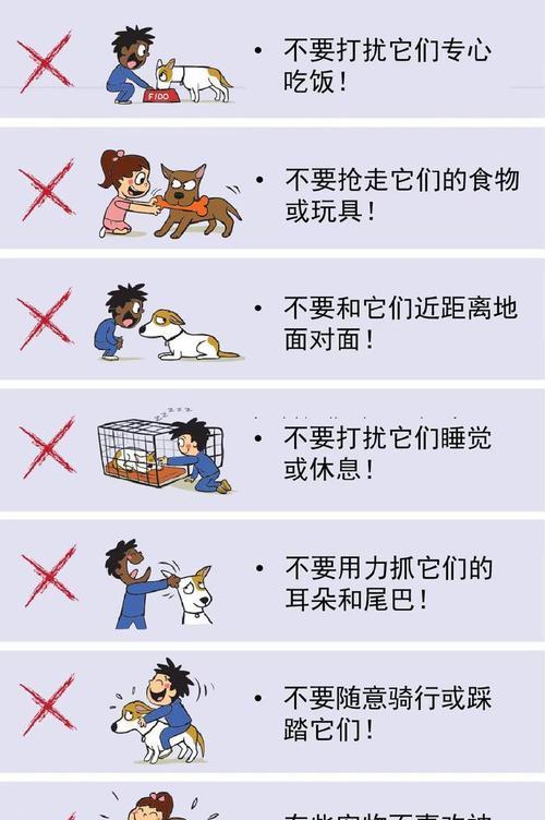 狗狗患上狂犬病的表现与防治（定期接种疫苗，守护爱宠健康）