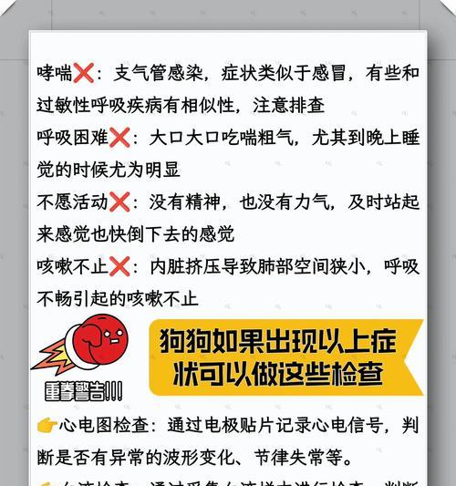 狗狗不吃饭不呕吐的原因及解决方法（为什么狗狗没有食欲？如何帮助它恢复胃口？）