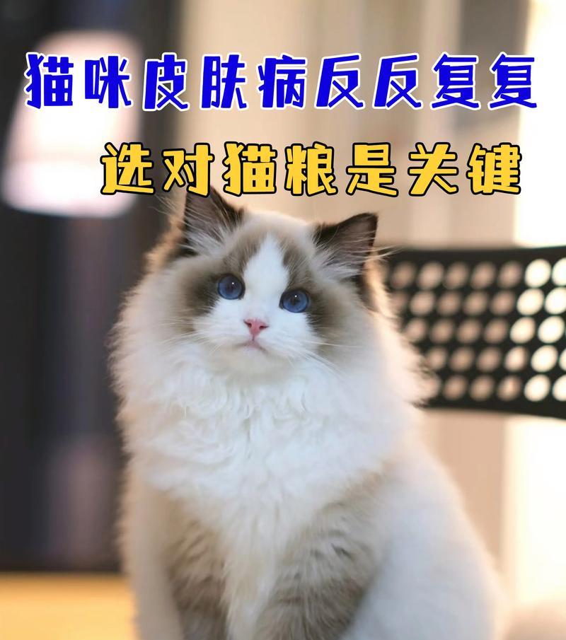 猫咪蹭主人的原因究竟是为了撒娇吗？（揭开猫咪蹭主人背后的真正动机）