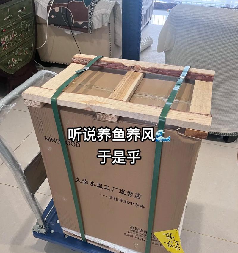 养鱼养不好？关注这些要点保证成功（养鱼技巧）