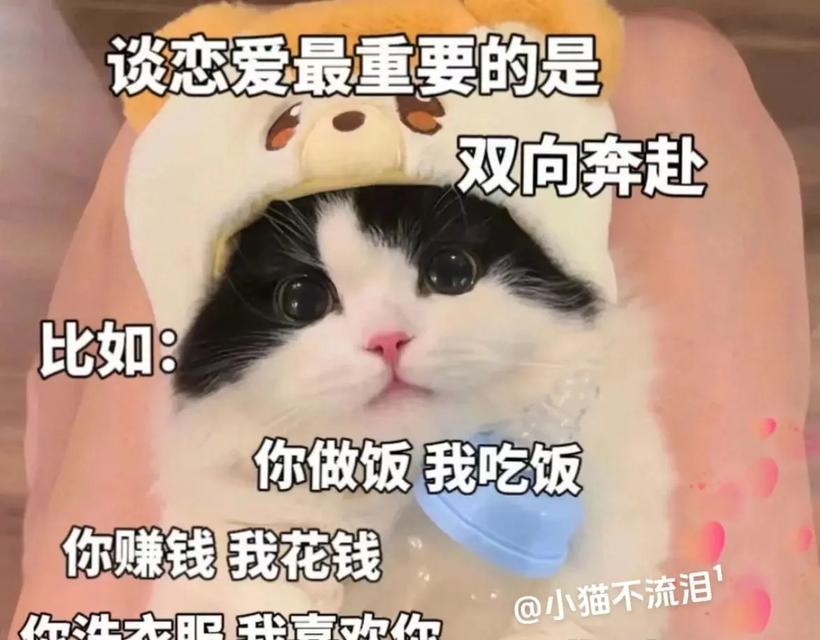 猫咪蹭你是喜欢你？（揭开猫咪蹭人行为的真相）